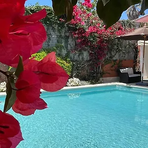 Apartamento With Private Swimming Pool And Garden, Cascaes